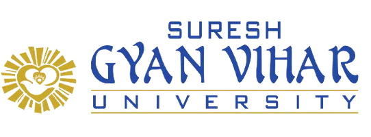 Partner University