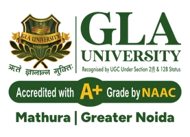 Partner University