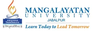 Partner University