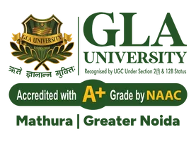 Partner University