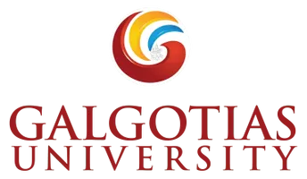 Partner University